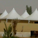 mzlat-mousq1