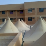 mzlat-school2