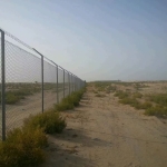 shabak5