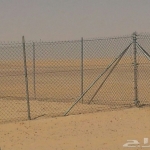 shabak8